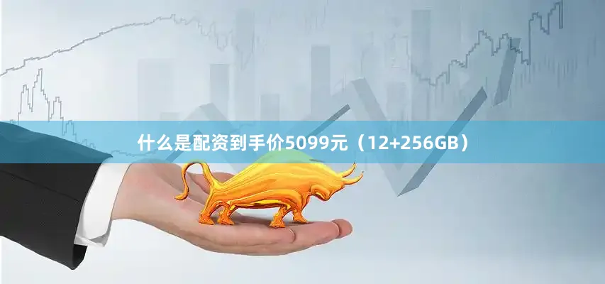 什么是配资到手价5099元（12+256GB）